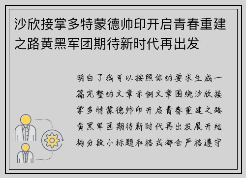 沙欣接掌多特蒙德帅印开启青春重建之路黄黑军团期待新时代再出发